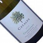 Catalpa Chardonnay